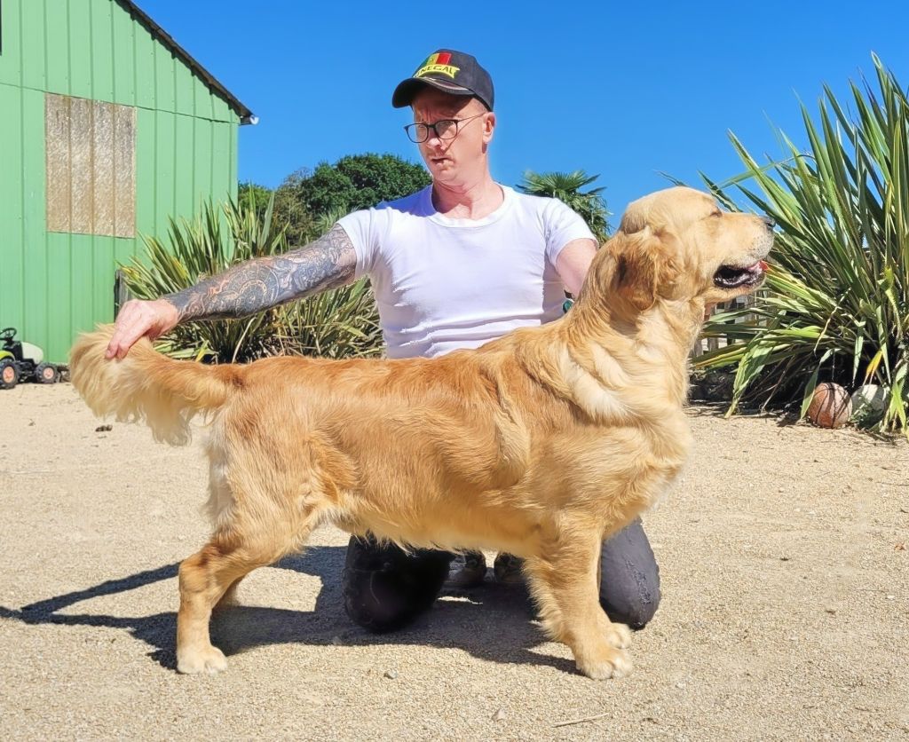 Virtuose mozart des jardins d epona