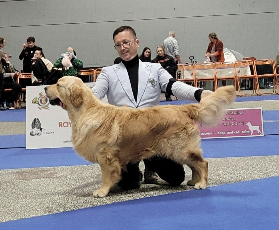 Virtuose mozart des jardins d epona